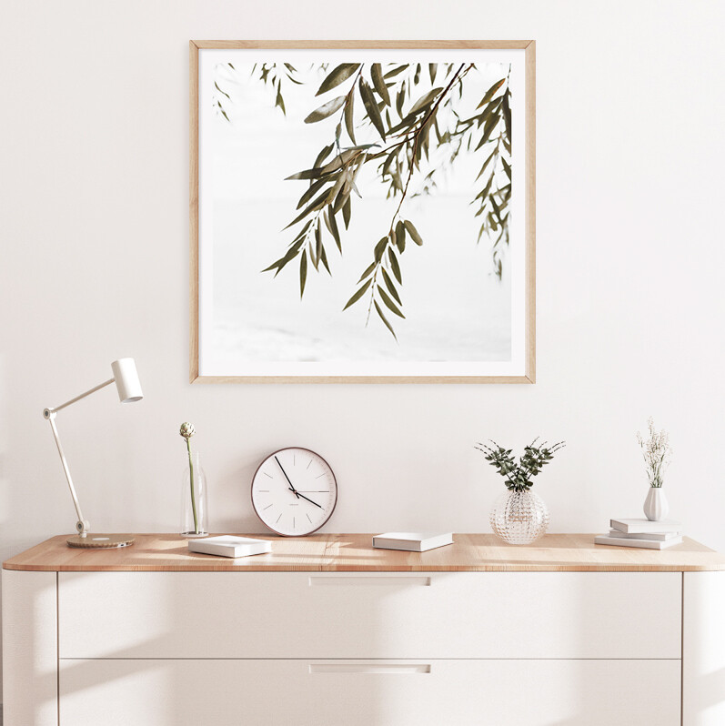 Coastal Gums (square)