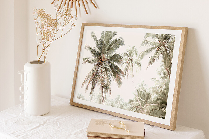 Palm Vibes