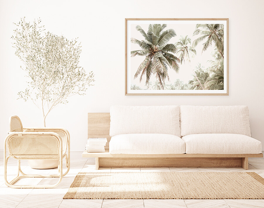 Palm Vibes
