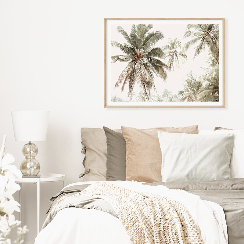 Palm Vibes