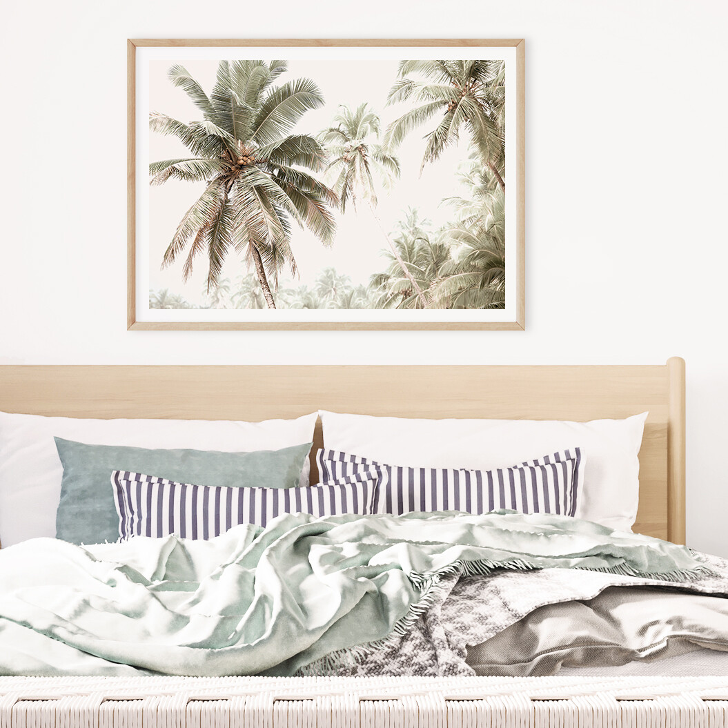 Palm Vibes