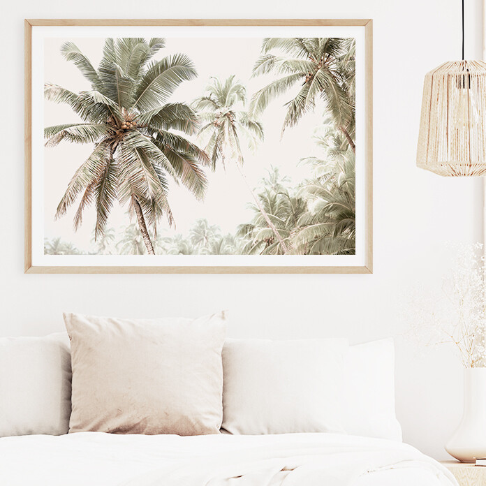 Palm Vibes