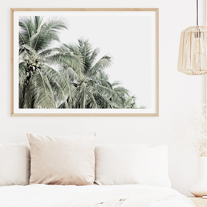 Tropical Palms