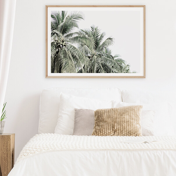 Tropical Palms