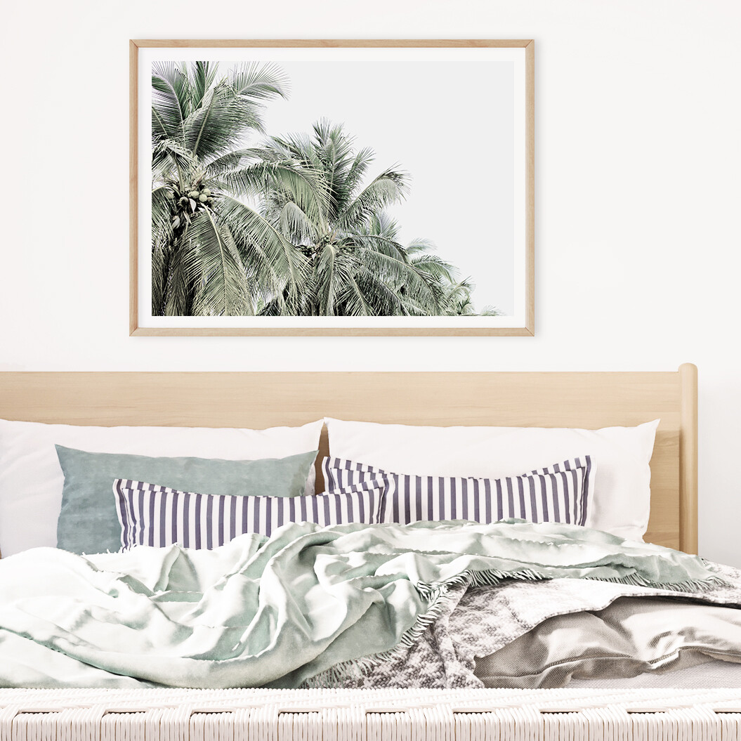 Tropical Palms