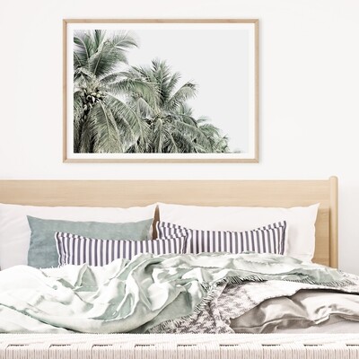 Tropical Palms