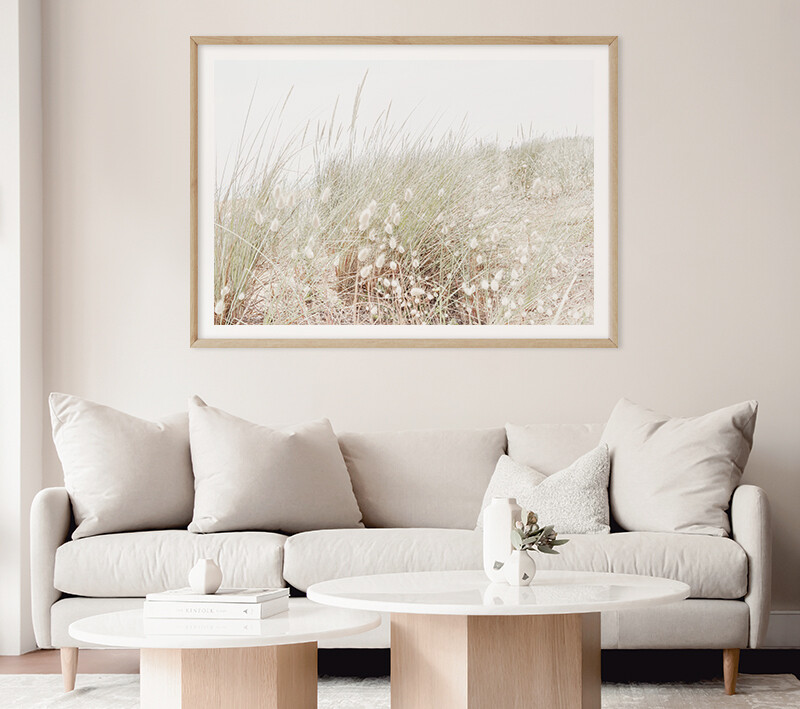 South Coastal Grass