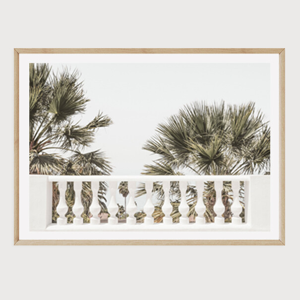 Palm View