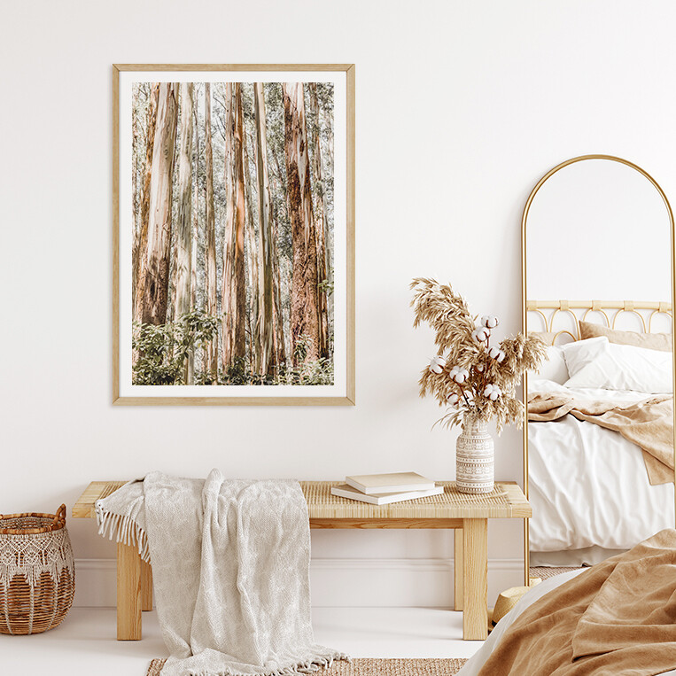 Eucalypt Canopy