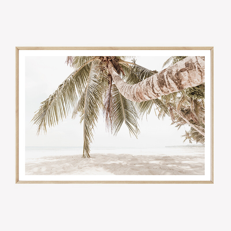Island Haven