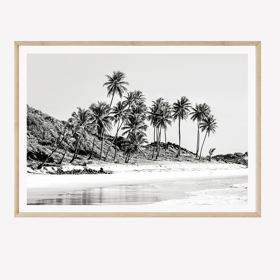 The Palms (Black/White)