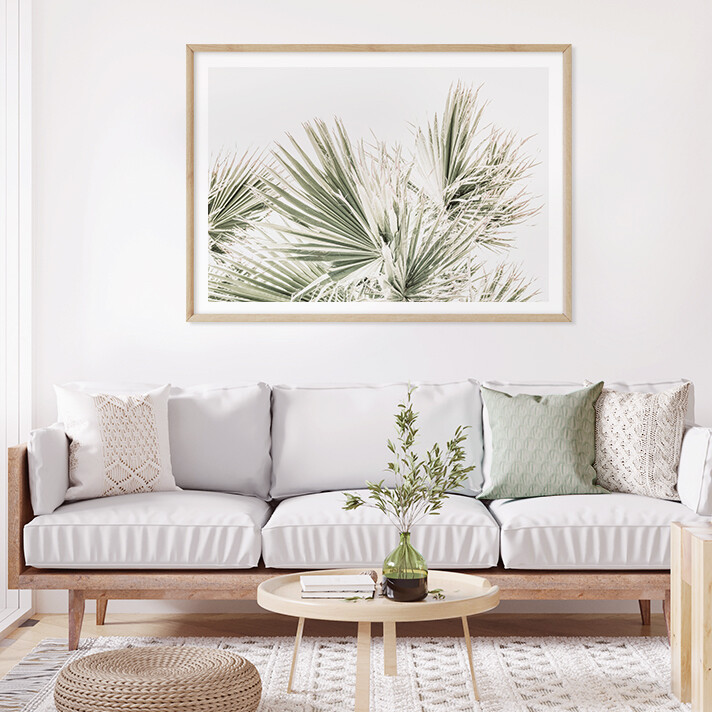 Lush Palms