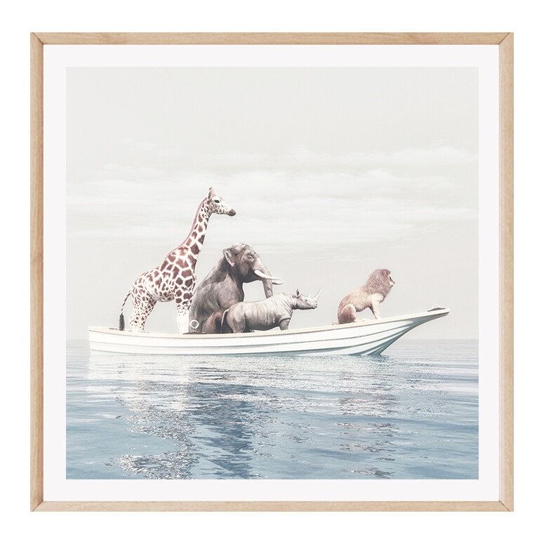 Safari Adrift (square)