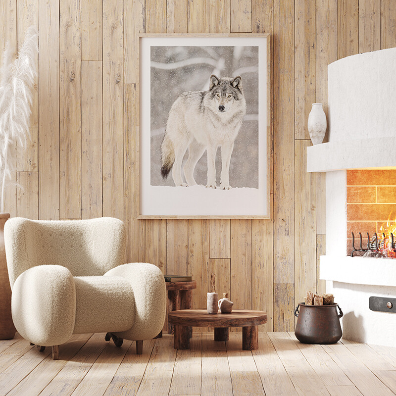 Arctic Wolf