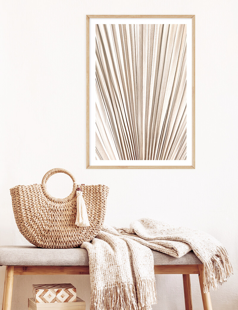 Fan Palm Textures