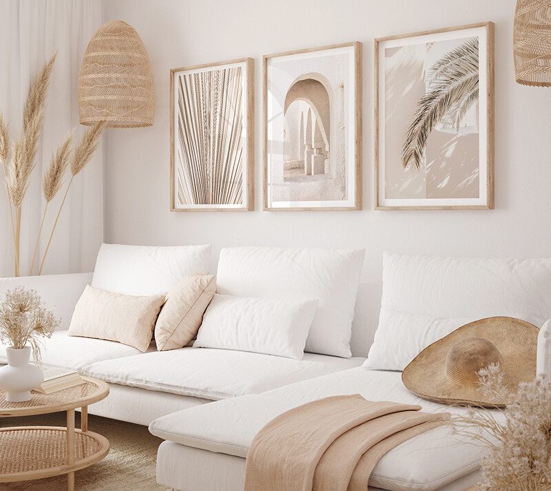 Fan Palm Textures