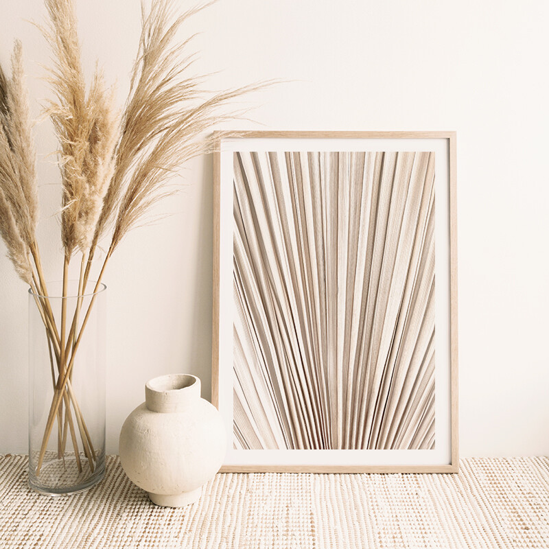 Fan Palm Textures