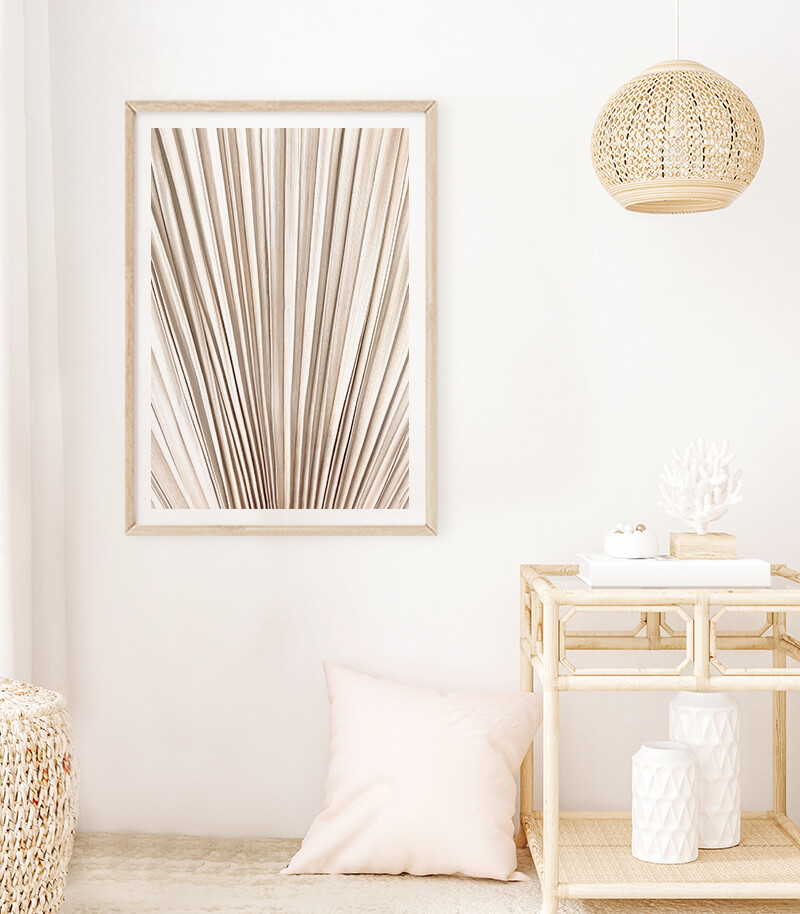 Fan Palm Textures