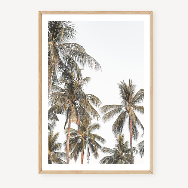 Retro Palms