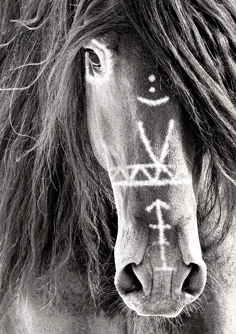 Tribal Horse