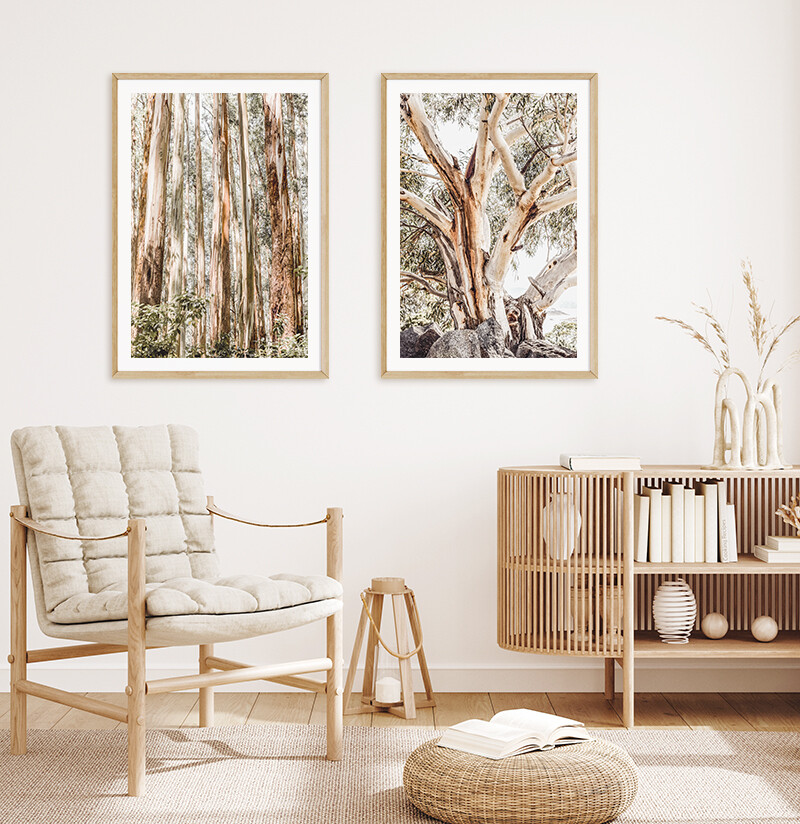 Alpine Gum &amp; Eucalypt Canopy Set
