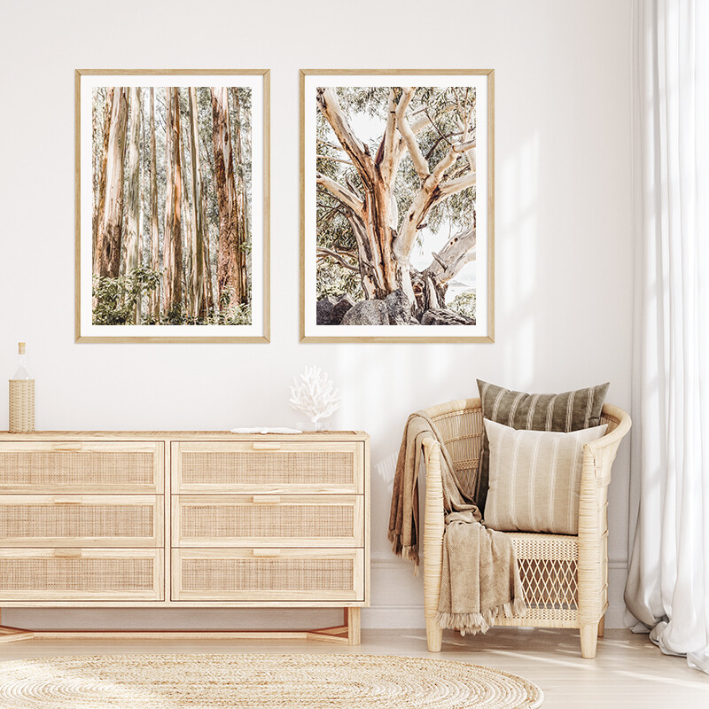 Alpine Gum & Eucalypt Canopy Set