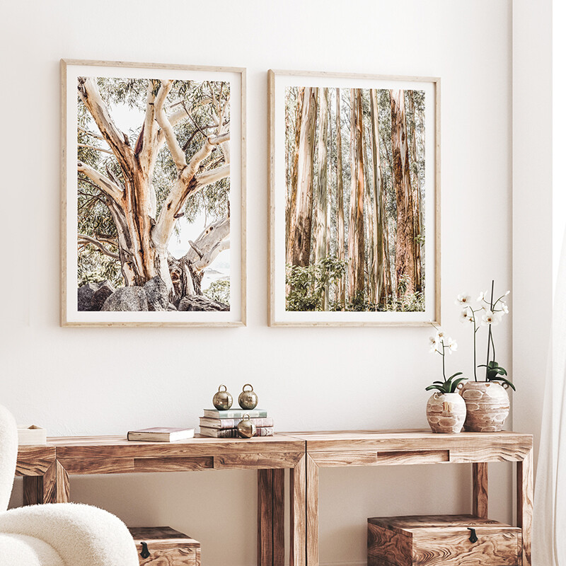 Alpine Gum &amp; Eucalypt Canopy Set