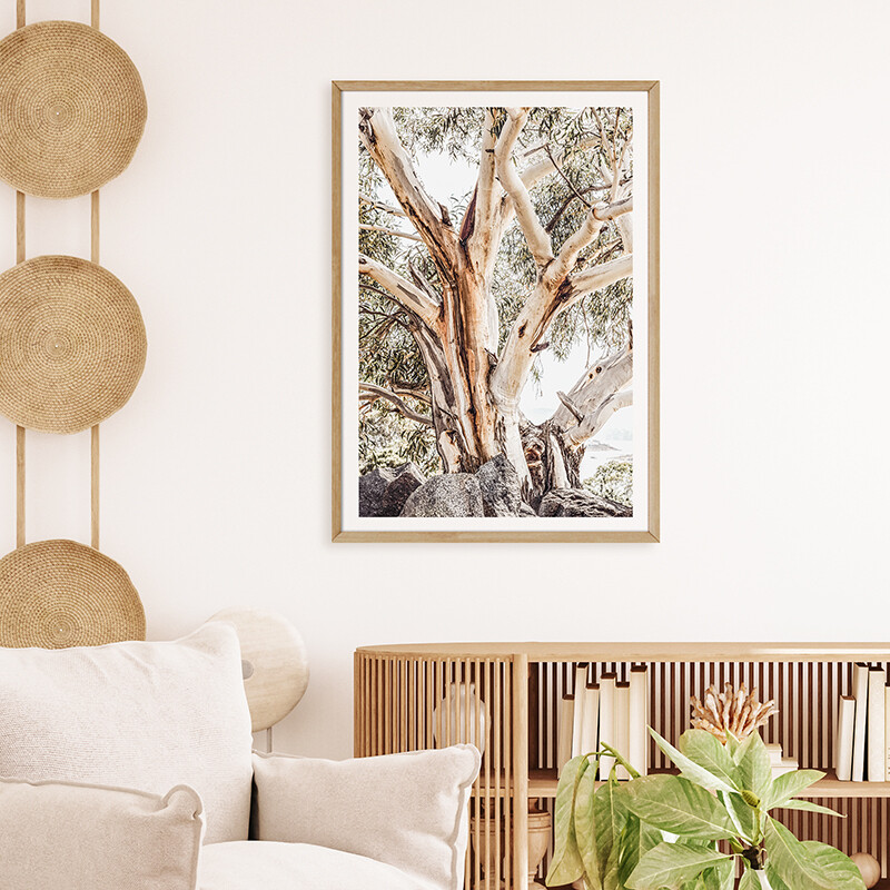 Alpine Gum