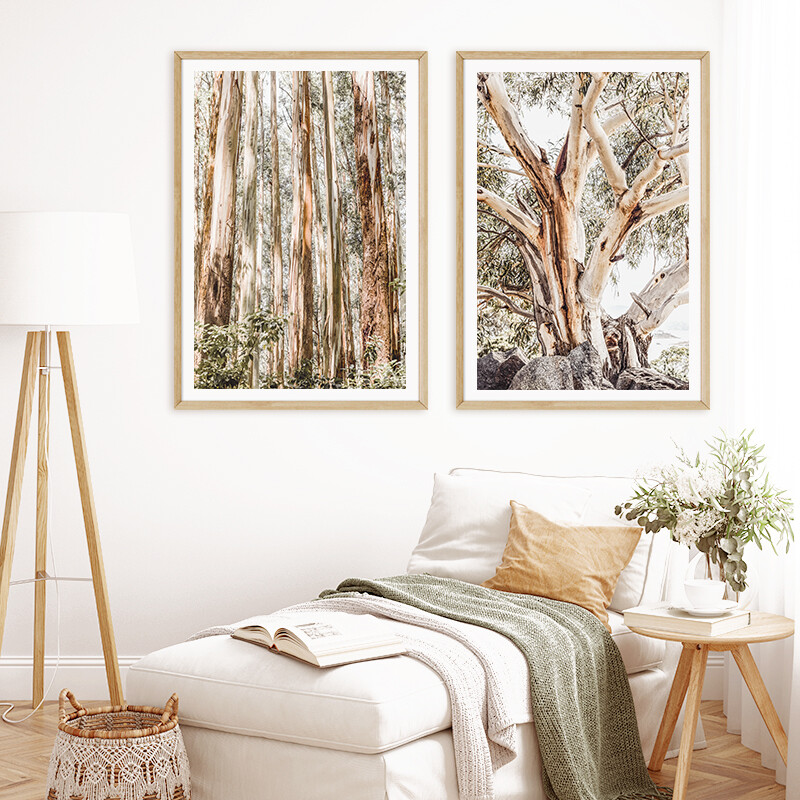 Alpine Gum &amp; Eucalypt Canopy Set