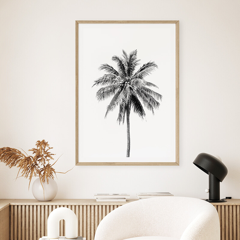 Single Palm