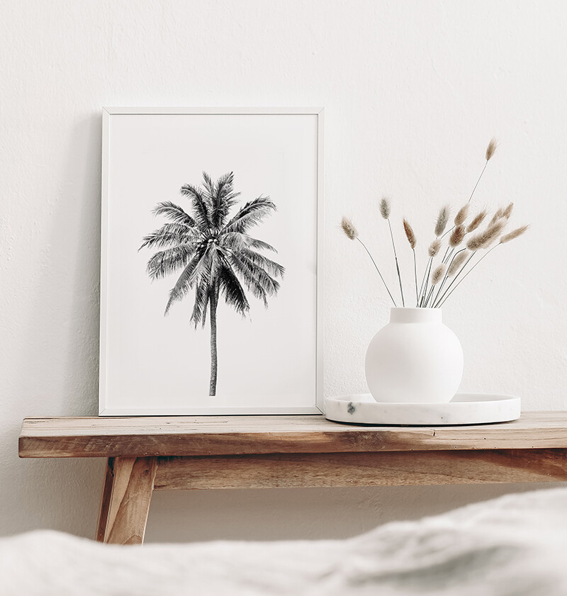 Single Palm