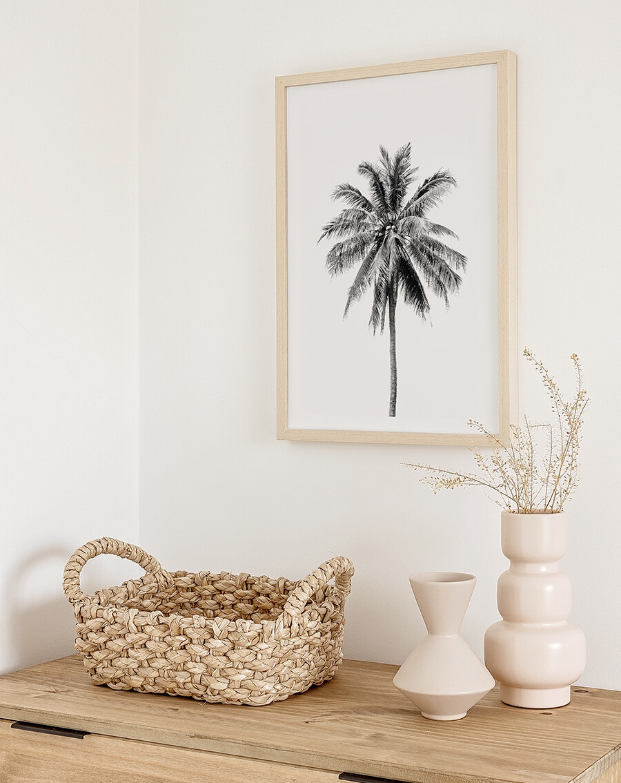 Single Palm