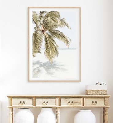 Daydream Island Palm