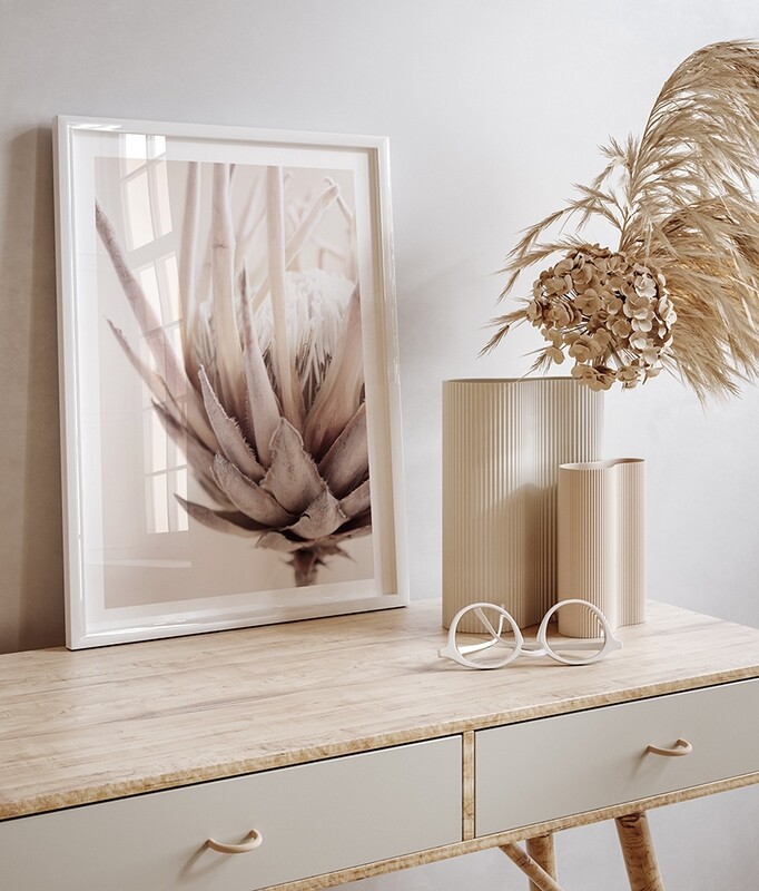 Nude Protea
