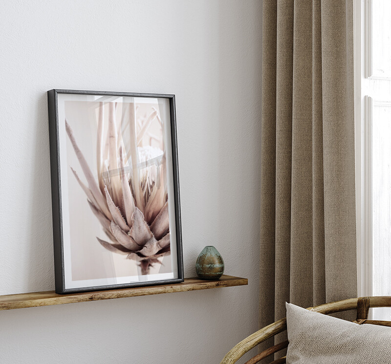 Nude Protea