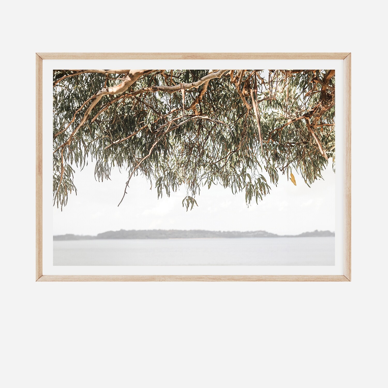 Coolart View (landscape)