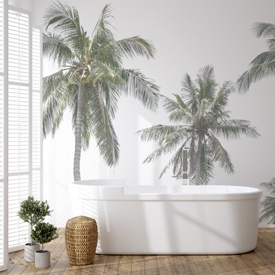 Natural Palms II Removable Wallpaper