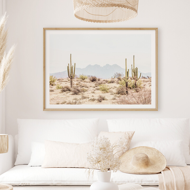 Arizona Cacti