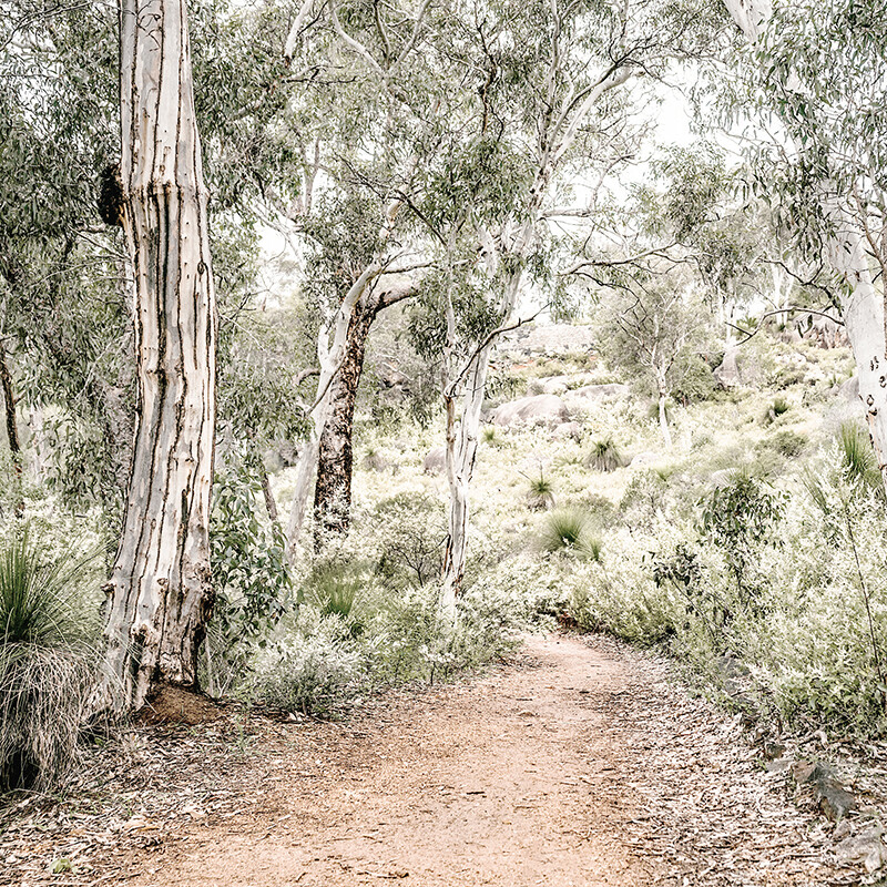 Bush Path