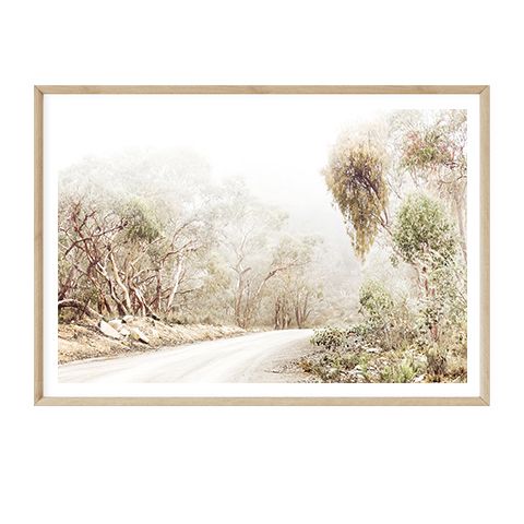 Dreamtime Trail