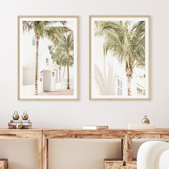 Palmiers de Floride Set