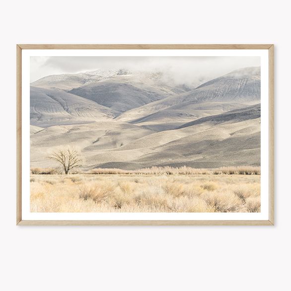 Misty Valley