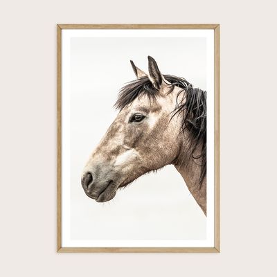 Wild Soul (Portrait)