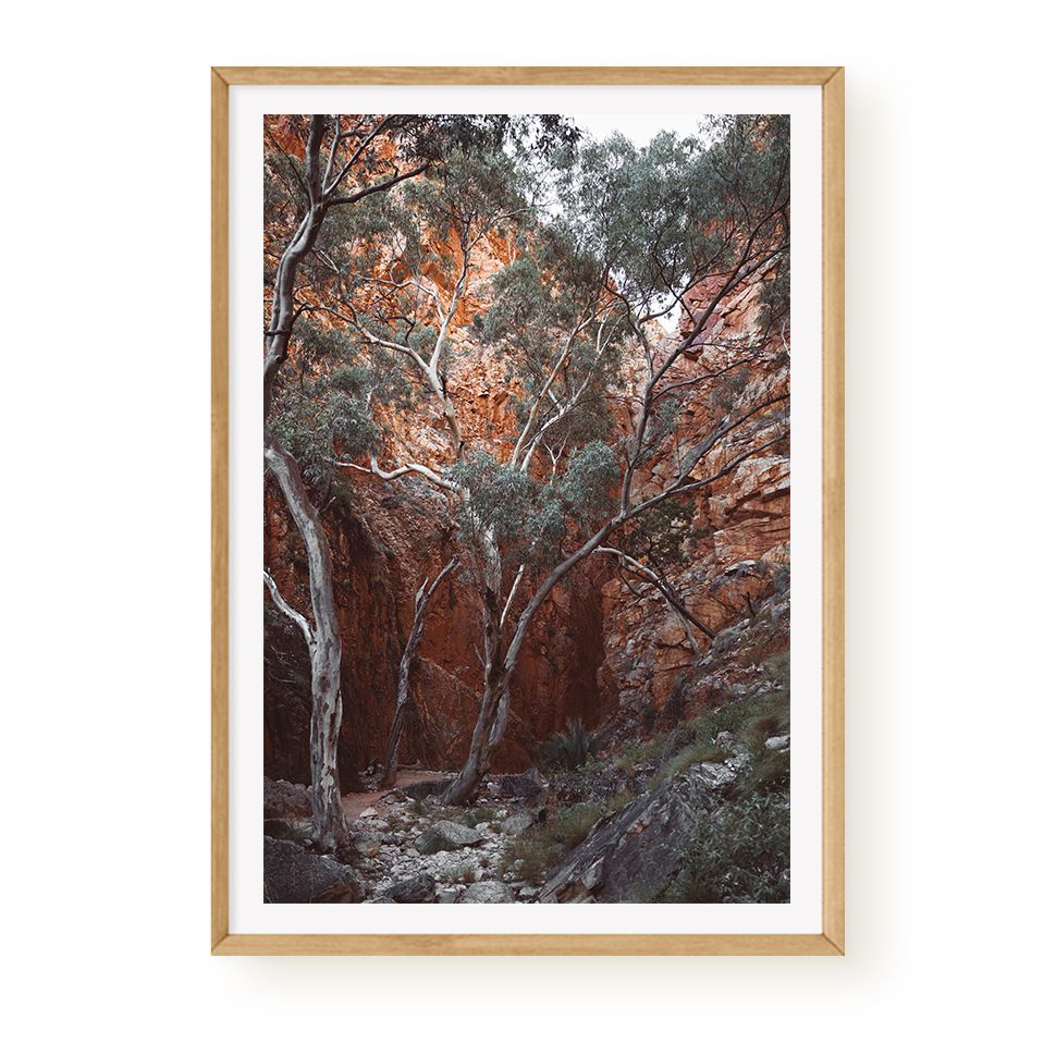 Red Outback Gorge