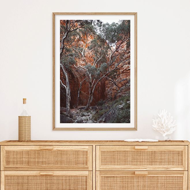 Red Outback Gorge
