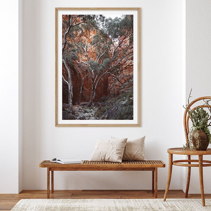 Red Outback Gorge