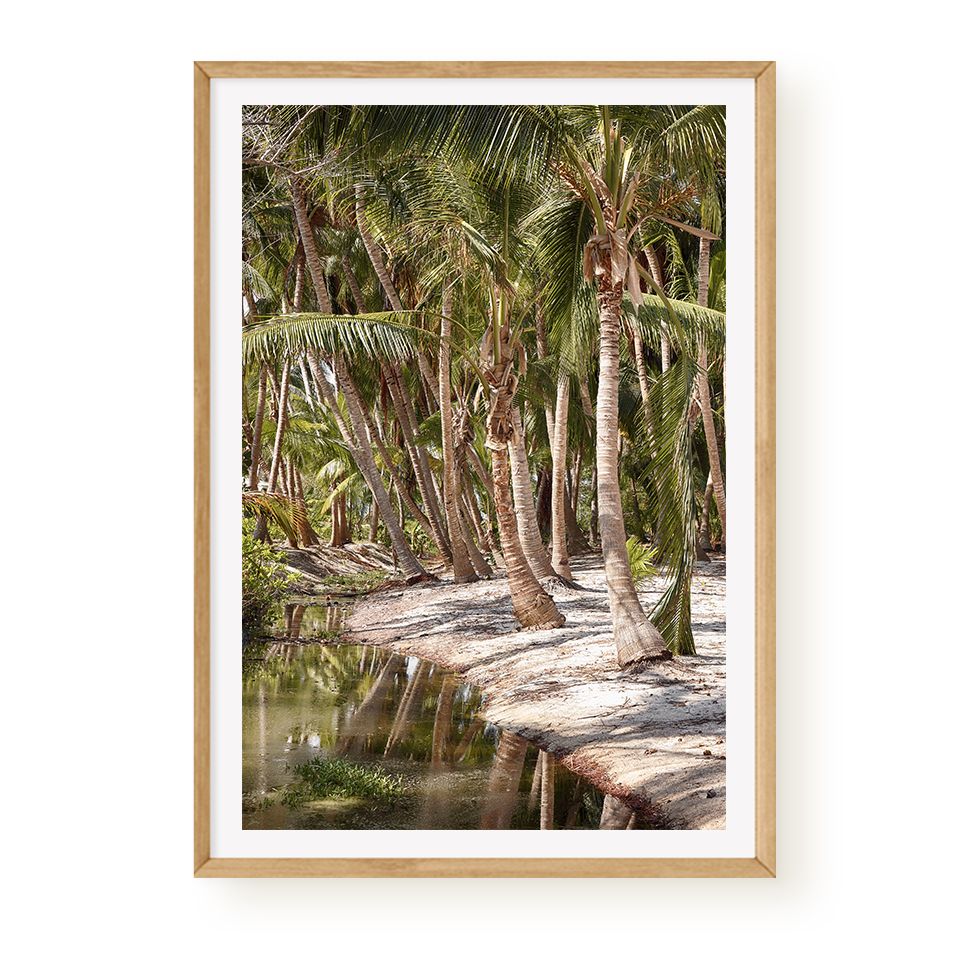Tropical Grove
