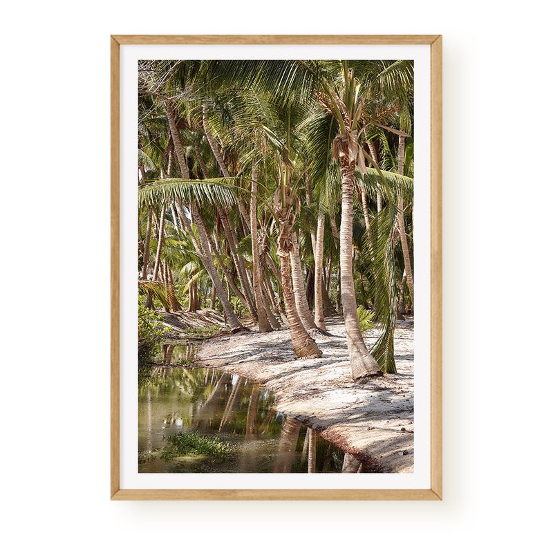 Tropical Grove