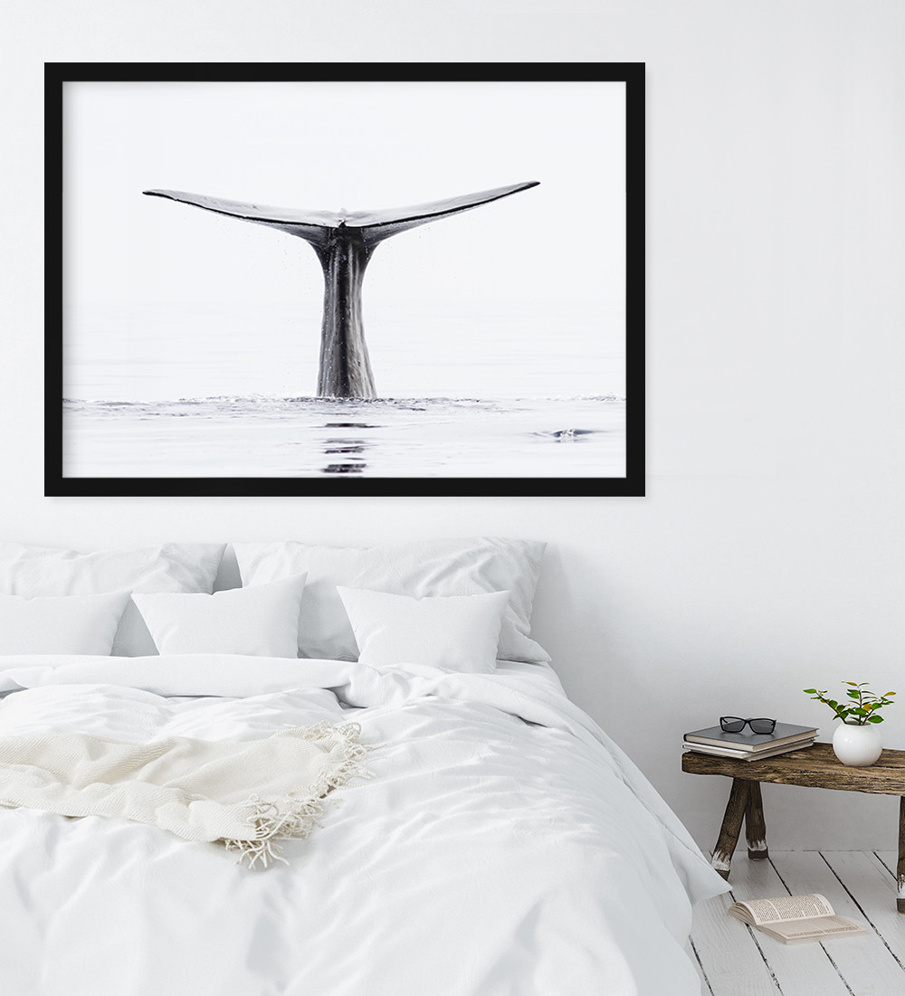 Whale II