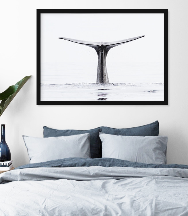 Whale II